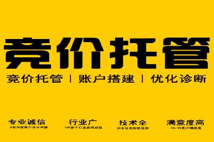 低成本高回报：百度竞价代理成功案例分析